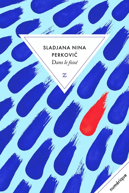 Dans le fossé - Sladjana Nina Perkovic - Zulma