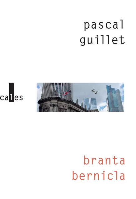 Branta bernicla - Pascal Guillet - Editions Gallimard