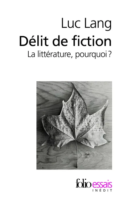 Délit de fiction. La littérature, pourquoi ? - Luc Lang - Editions Gallimard