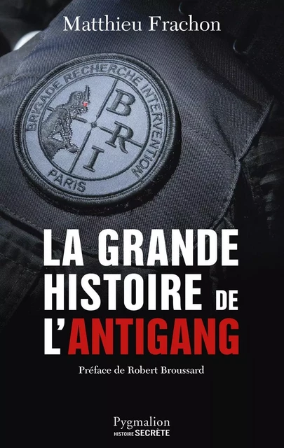 La Grande Histoire de l'Antigang - Matthieu Frachon - Pygmalion