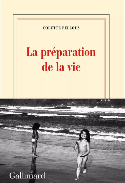 La préparation de la vie - Colette Fellous - Editions Gallimard