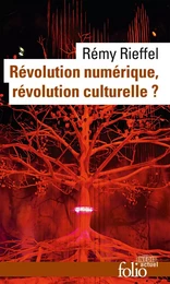 Révolution numérique, révolution culturelle ?