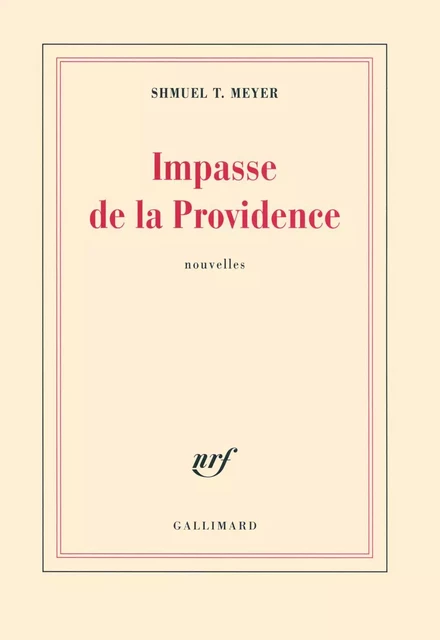 Impasse de la Providence/Jours de fête - Shmuel T. Meyer - Editions Gallimard