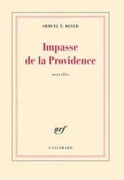 Impasse de la Providence/Jours de fête