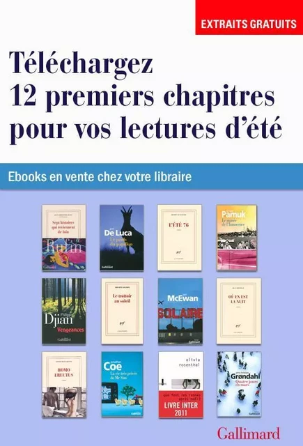 EXTRAITS - 12 romans pour vos lectures d'été - Tonino Benacquista, Jonathan Coe, Philippe Delerm, Erri De Luca, Philippe Djian, Benoît Duteurtre, Jens Christian Grondahl, Jean Hatzfeld, Ian McEwan, Orhan Pamuk, Olivia Rosenthal, Jean-Christophe Rufin - Editions Gallimard