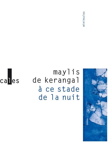 À ce stade de la nuit - Maylis de Kerangal - Editions Gallimard