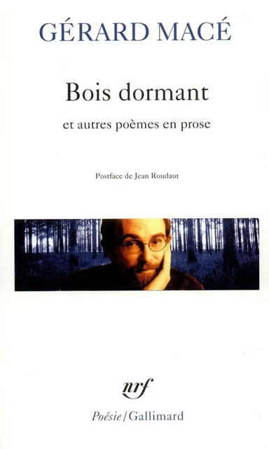 Bois dormant et autres poèmes en prose - Gérard Macé - Editions Gallimard