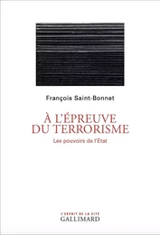 À l'épreuve du terrorisme. Les pouvoirs de l'État