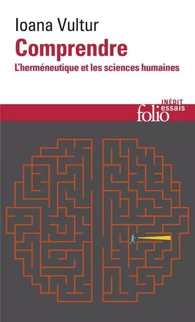 Comprendre. L'herméneutique et les sciences humaines - Ioana Vultur - Editions Gallimard