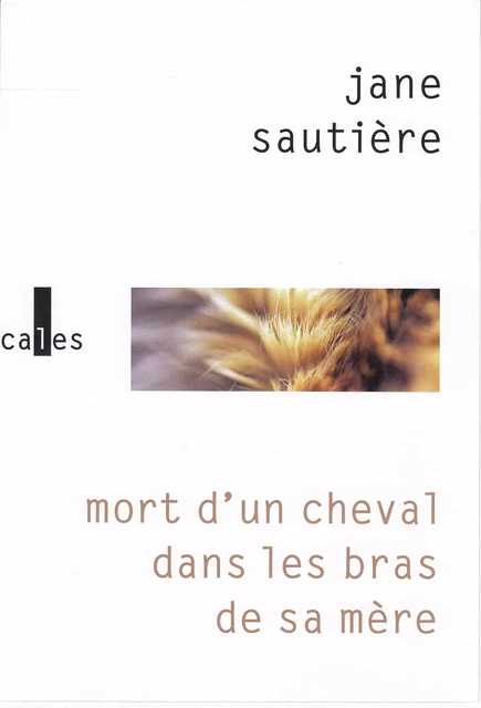 Mort d’un cheval dans les bras de sa mère - Jane Sautière - Editions Gallimard