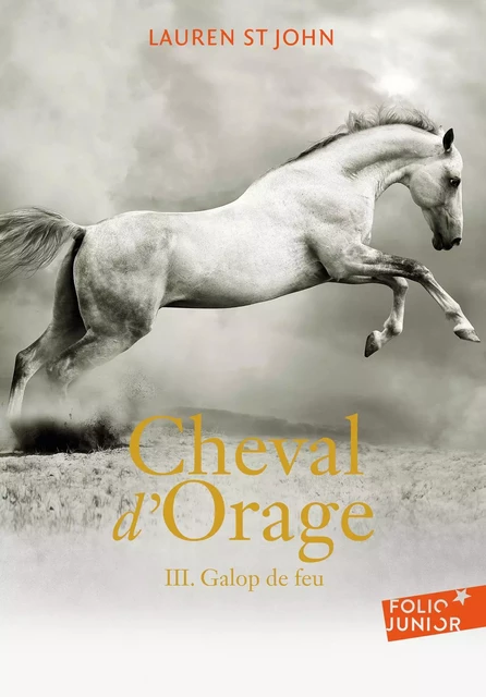 Cheval d'Orage (Tome 3) - Galop de feu - Lauren St John - Gallimard Jeunesse