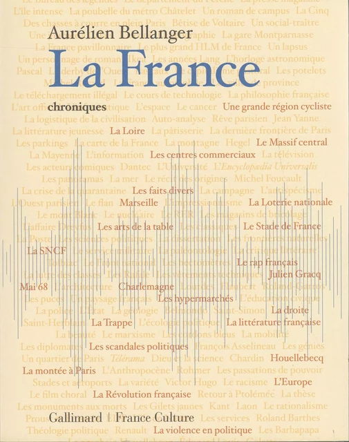 La France - Aurélien Bellanger - Editions Gallimard