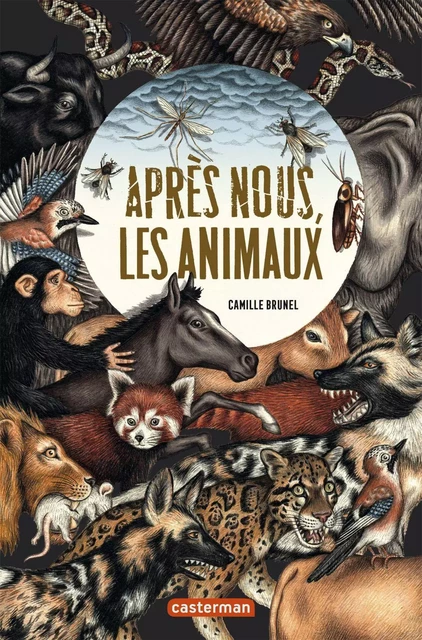 Après nous, les animaux - Camille Brunel - Casterman Jeunesse