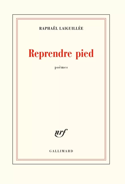 Reprendre pied - Raphaël Laiguillée - Editions Gallimard