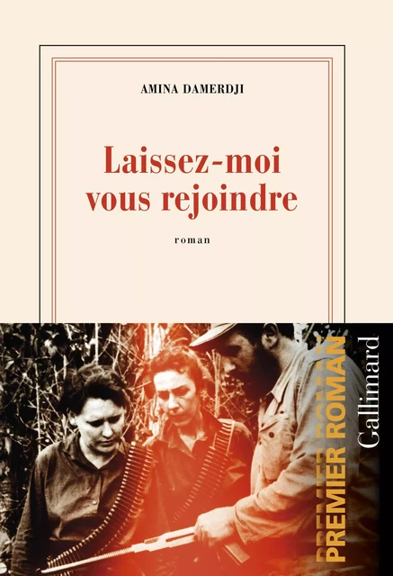 Laissez-moi vous rejoindre - Amina Damerdji - Editions Gallimard