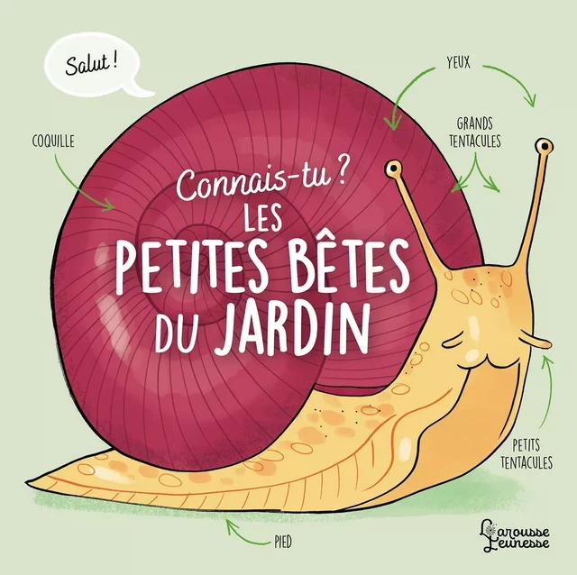 Connais-tu les petites bêtes du jardin ? - Agnès Besson - Larousse