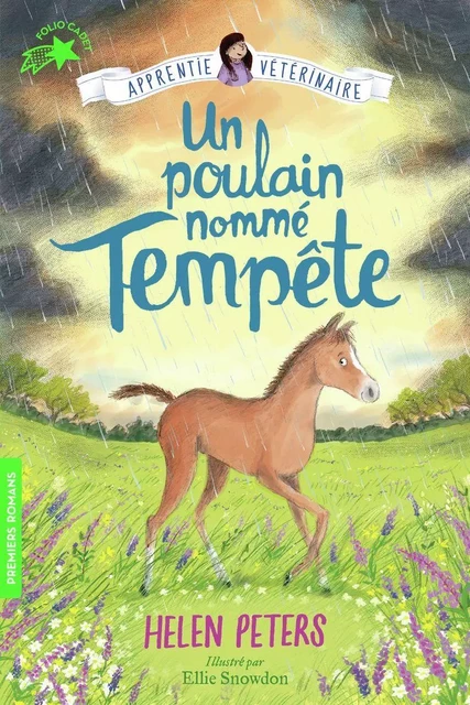 Jasmine l'apprentie vétérinaire (Tome 9) - Un poulain nommé Tempête - Helen Peters - Gallimard Jeunesse