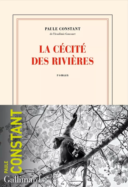 La cécité des rivières - Paule Constant - Editions Gallimard