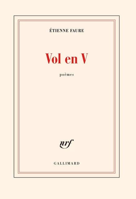 Vol en V - Étienne Faure - Editions Gallimard