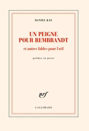 Un peigne pour Rembrandt et autres fables pour l’œil