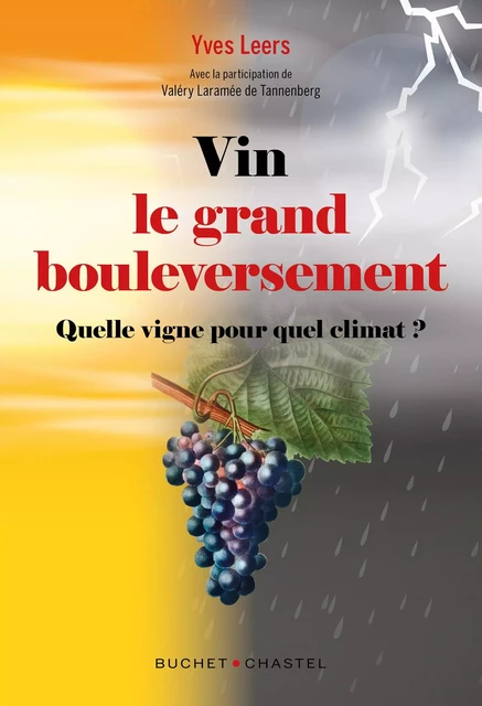 Vin : Le grand bouleversement - Yves Leers - Libella