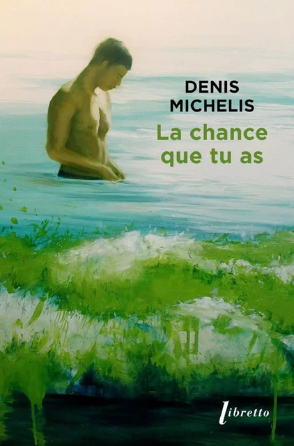 La chance que tu as - Denis Michelis - Libella