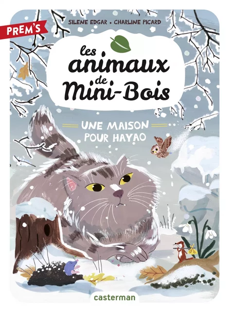 Les animaux de Mini-Bois (Tome 5) - Une maison pour Hayao - Silène Edgar - Casterman Jeunesse