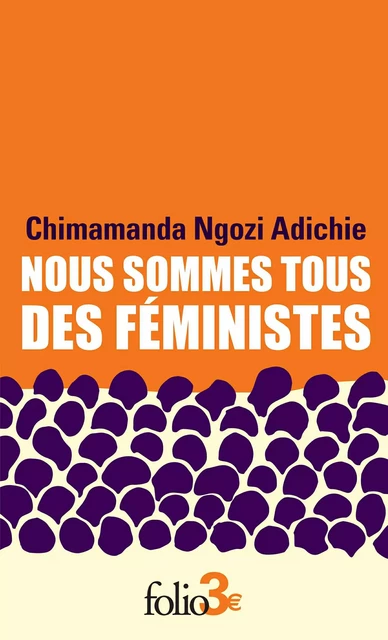 Nous sommes tous des féministes suivi de Le danger de l'histoire unique - Chimamanda Ngozi Adichie - Editions Gallimard