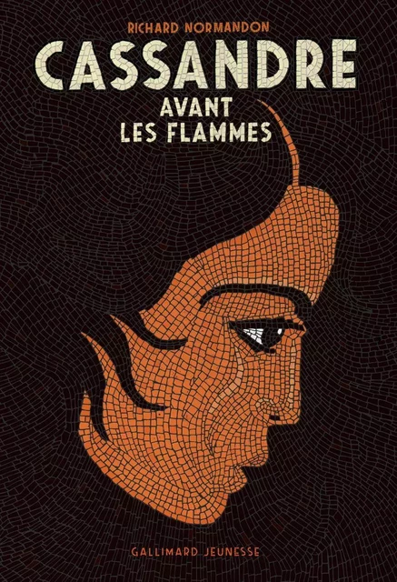 Cassandre avant les flammes - Richard Normandon - Gallimard Jeunesse