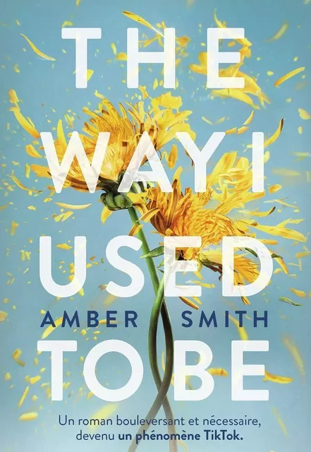 The Way I used to be - Amber Smith - Gallimard Jeunesse