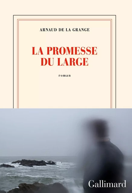 La promesse du large - Arnaud de La Grange - Editions Gallimard