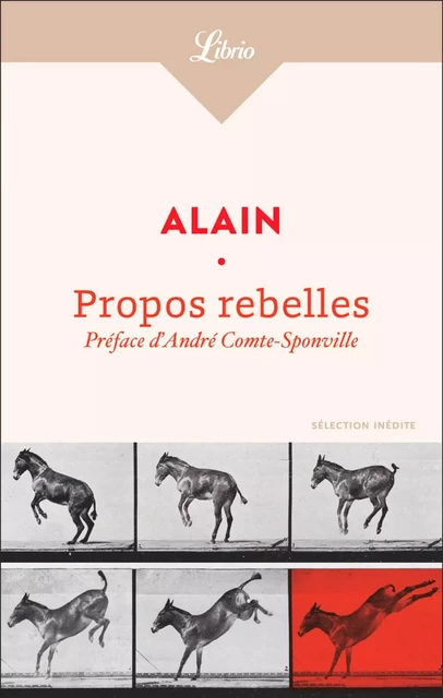 Propos rebelles -  Alain - J'ai Lu