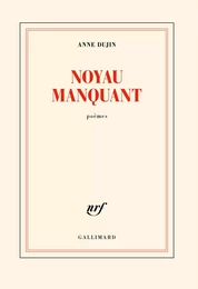 Noyau manquant