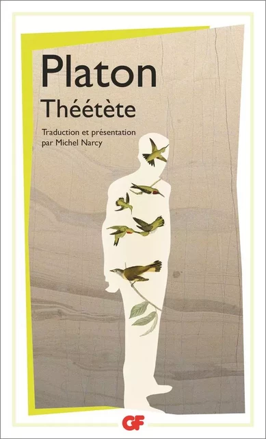 Théétète -  Platon - Flammarion