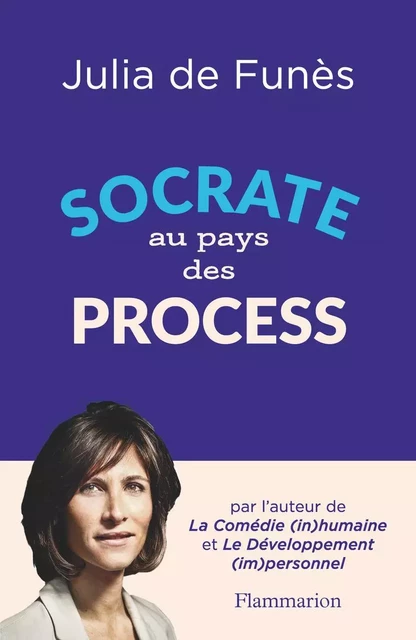 Socrate au pays des process - Julia de Funès - Flammarion