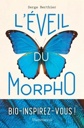 L'éveil du Morpho