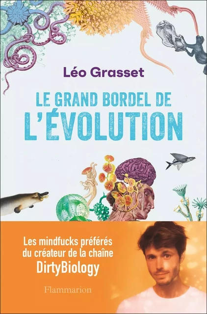 Le grand bordel de l'évolution - Léo Grasset - Flammarion