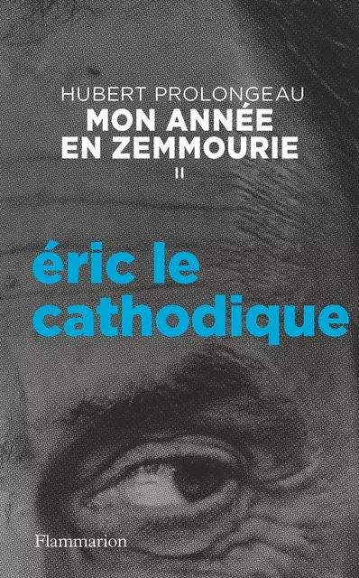 Mon année en Zemmourie (II) - Éric le cathodique - Hubert Prolongeau - Flammarion