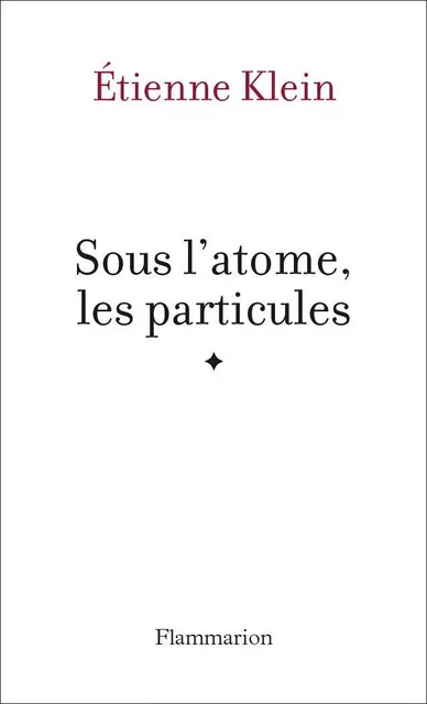 Sous l'atome, les particules - Étienne Klein - Flammarion