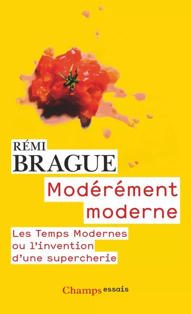 Modérément moderne - Rémi Brague - Flammarion