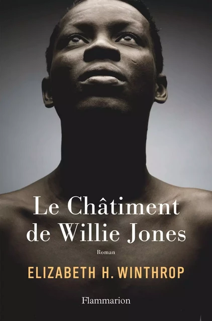 Le Châtiment de Willie Jones - Elizabeth H. Winthrop - Flammarion