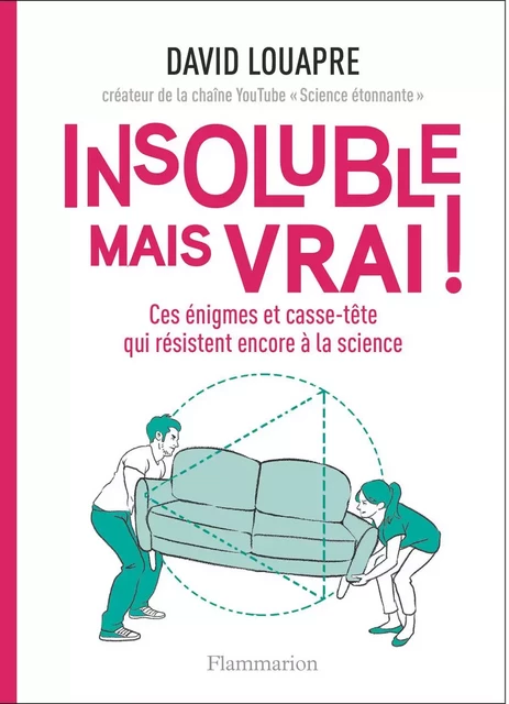 Insoluble mais vrai ! Ces énigmes et casse-tête qui résistent encore à la science - David Louapre - Flammarion