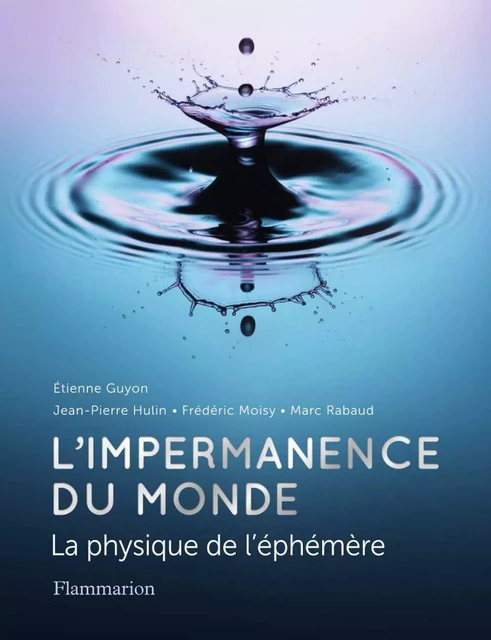 L'impermanence du monde - Etienne Guyon, Jean-Pierre Hulin, Frédéric Moisy, Marc Rabaud - Flammarion