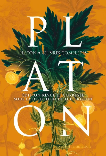 Platon, OEuvres complètes -  Platon - Flammarion