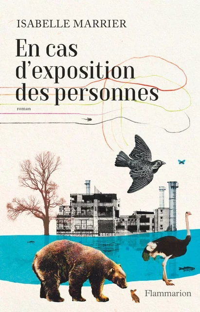 En cas d'exposition des personnes - Isabelle Marrier - Flammarion