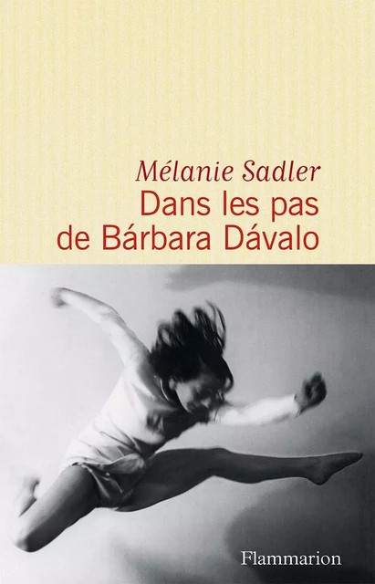 Dans les pas de Bárbara Dávalo - Mélanie Sadler - Flammarion