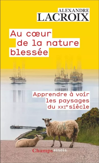 Au cœur de la nature blessée. Apprendre à voir les paysages du XXIe siècle - Alexandre Lacroix - Flammarion