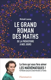 Le grand roman des maths. De la préhistoire à nos jours