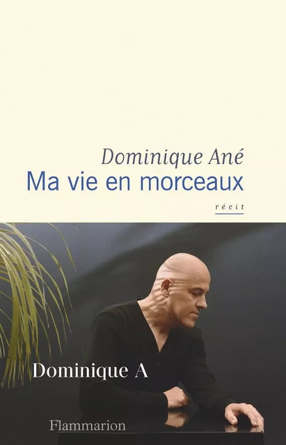 Ma vie en morceaux - Dominique Ané - Flammarion