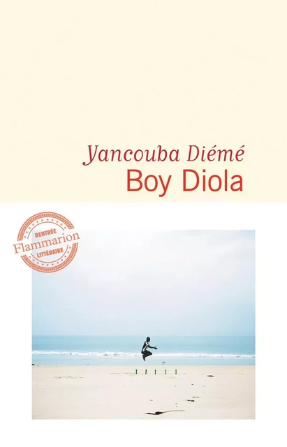 Boy Diola - Yancouba Diémé - Flammarion